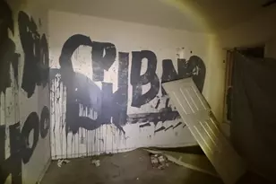 8417 S Escanaba Ave, Chicago, IL 60617 - Photo 19