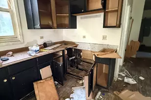 8417 S Escanaba Ave, Chicago, IL 60617 - Photo 15