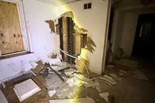 8417 S Escanaba Ave, Chicago, IL 60617 - Photo 13