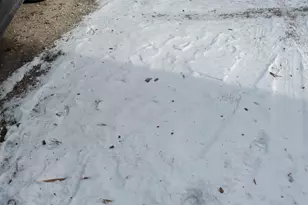 2437 W Balmoral Ave, Chicago, IL 60625 - Photo 19