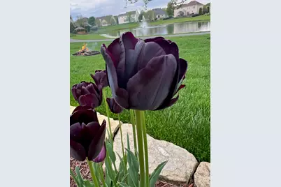 1839 Brower Place, Sycamore, IL 60178 - Photo 35