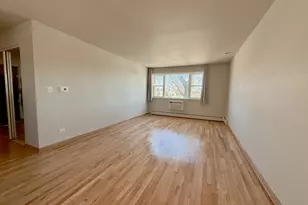 4600 N Cumberland Ave, Chicago, IL 60656 - Photo 3