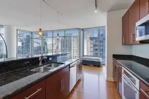 100 E 14th St, Chicago, IL 60605 - Photo 7