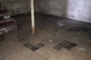 3347 Bernice Rd, Lansing, IL 60438 - Photo 19