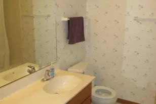 10935 Colorado Ct, Orland Park, IL 60467 - Photo 9