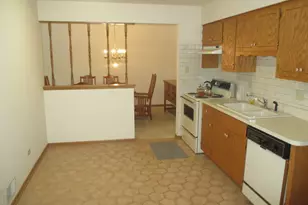 10935 Colorado Ct, Orland Park, IL 60467 - Photo 5