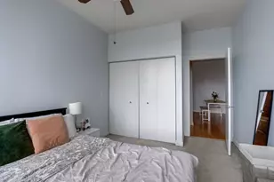 233 E 13th St, Chicago, IL 60605 - Photo 9