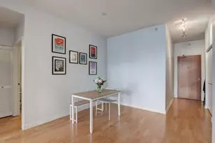 233 E 13th St, Chicago, IL 60605 - Photo 5