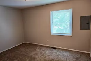 4700 Salem Ct, Richton Park, IL 60471 - Photo 11