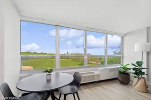 4800 S Chicago Beach Dr, Chicago, IL 60615 - Photo 9