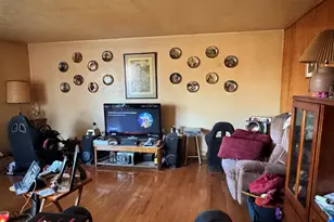 704 S Park Ave, Lamoille, IL 61330 - Photo 3