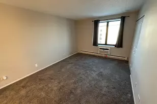 9731 N Fox Glen Dr, Niles, IL 60714 - Photo 27