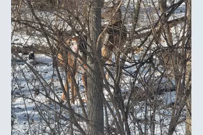 916 Missouri Drive, Dixon, IL 61021 - Photo 5