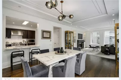 159 E Walton Place #7G, Chicago, IL 60611 - Photo 13