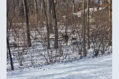 110 W Fork Road, Dixon, IL 61021 - Photo 3