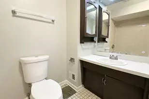 2931 Sunset Ave, Flossmoor, IL 60422 - Photo 21