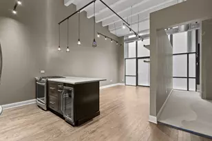 1645 W Ogden Ave, Chicago, IL 60612 - Photo 3
