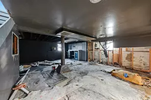 8750 S Princeton Ave, Chicago, IL 60620 - Photo 33