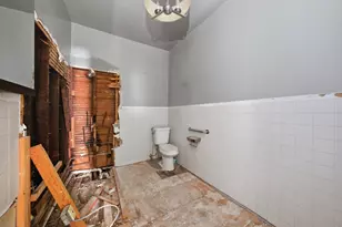 8750 S Princeton Ave, Chicago, IL 60620 - Photo 17