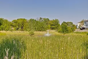 325 Cedar Ridge Dr, Lake Villa, IL 60046 - Photo 47