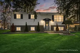 17W645 Lorraine Ave, Addison, IL 60101 - Photo 1