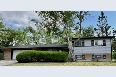 315 Illinois Street, Park Forest, IL 60466 - Photo 1