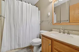 295 Vita Ln, Braidwood, IL 60408 - Photo 31