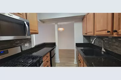 1 Oak Creek Drive #1308, Buffalo Grove, IL 60089 - Photo 3