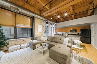 375 W Erie Street #323, Chicago, IL 60654 - Photo 5