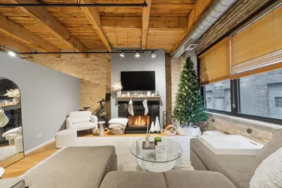 375 W Erie Street #323, Chicago, IL 60654 - Photo 3