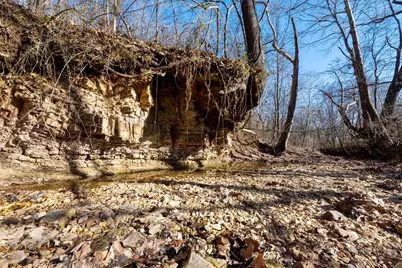 0000 Wilderness Retreat Road, Jonesboro, IL 62952 - Photo 59