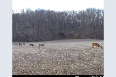 0000 Wilderness Retreat Road, Jonesboro, IL 62952 - Photo 83