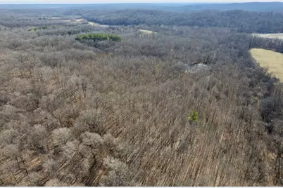 0000 Wilderness Retreat Road, Jonesboro, IL 62952 - Photo 35