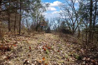 0000 Wilderness Retreat Road, Jonesboro, IL 62952 - Photo 73