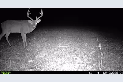 0000 Wilderness Retreat Road, Jonesboro, IL 62952 - Photo 85