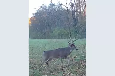 0000 Wilderness Retreat Road, Jonesboro, IL 62952 - Photo 87