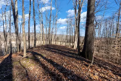 0000 Wilderness Retreat Road, Jonesboro, IL 62952 - Photo 67