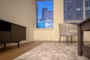 233 E Erie St, Chicago, IL 60611 - Photo 11