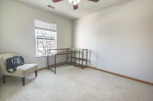 917 Prairie Path Ln, Joliet, IL 60436 - Photo 11