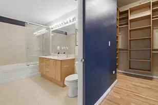 1720 S Michigan Ave, Chicago, IL 60616 - Photo 13