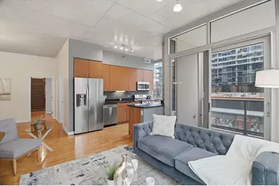 1720 S Michigan Avenue #308, Chicago, IL 60616 - Photo 3