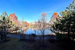 300 Lunt Ave, Schaumburg, IL 60193 - Photo 29