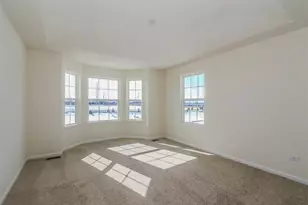 2949 Madison Dr, Naperville, IL 60564 - Photo 17