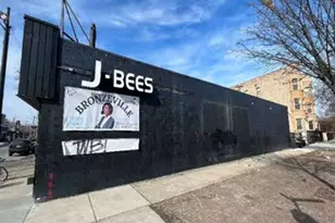 232 E 47th St, Chicago, IL 60653 - Photo 3