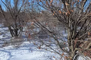 3816 Tickseed Dr, Zion, IL 60099 - Photo 19