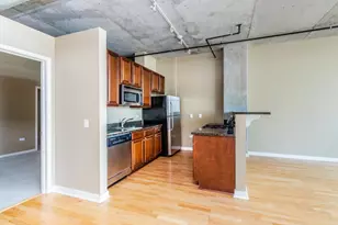 50 E 16th St, Chicago, IL 60616 - Photo 5