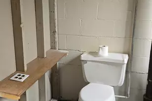 1123 Roosevelt Ave, Joliet, IL 60435 - Photo 15