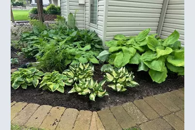 1303 Morning Dove Lane, Antioch, IL 60002 - Photo 29