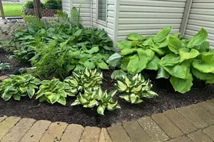 1303 Morning Dove Ln, Antioch, IL 60002 - Photo 29