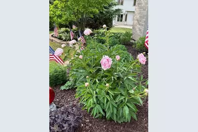 1303 Morning Dove Lane, Antioch, IL 60002 - Photo 31